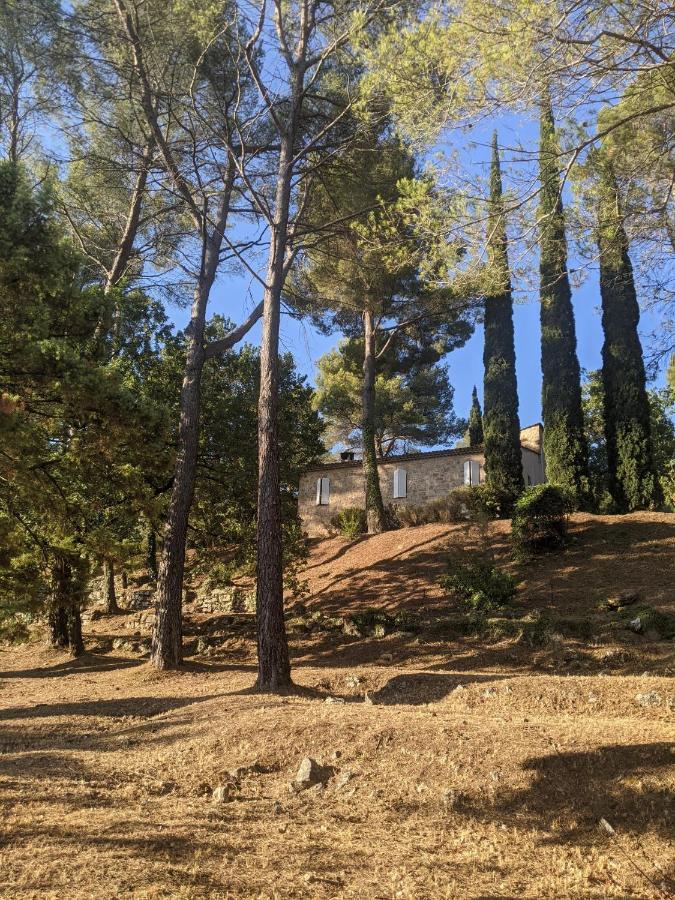 Le Clos Sous Le Chemin Seillans Kültér fotó